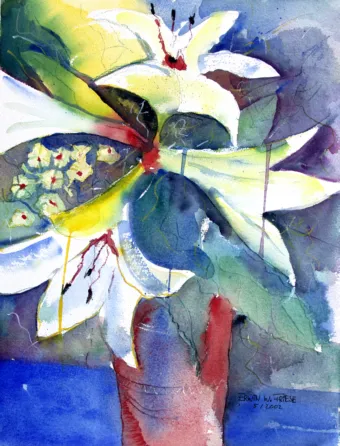 Bild 7